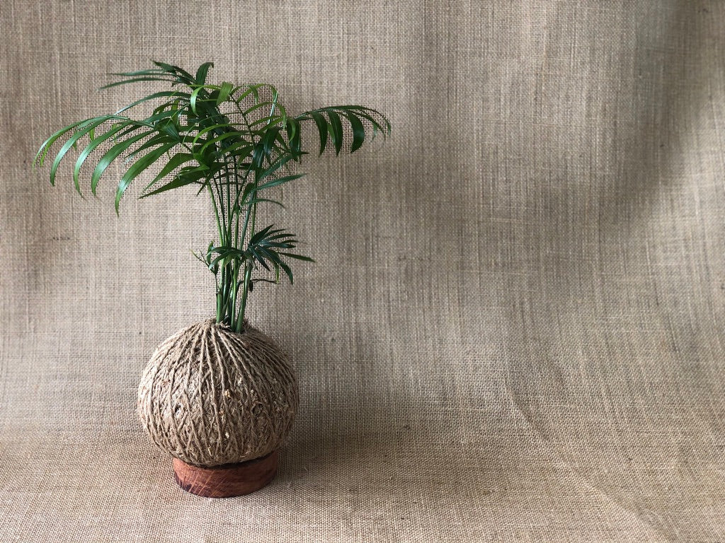 Caring for your Kokedama
