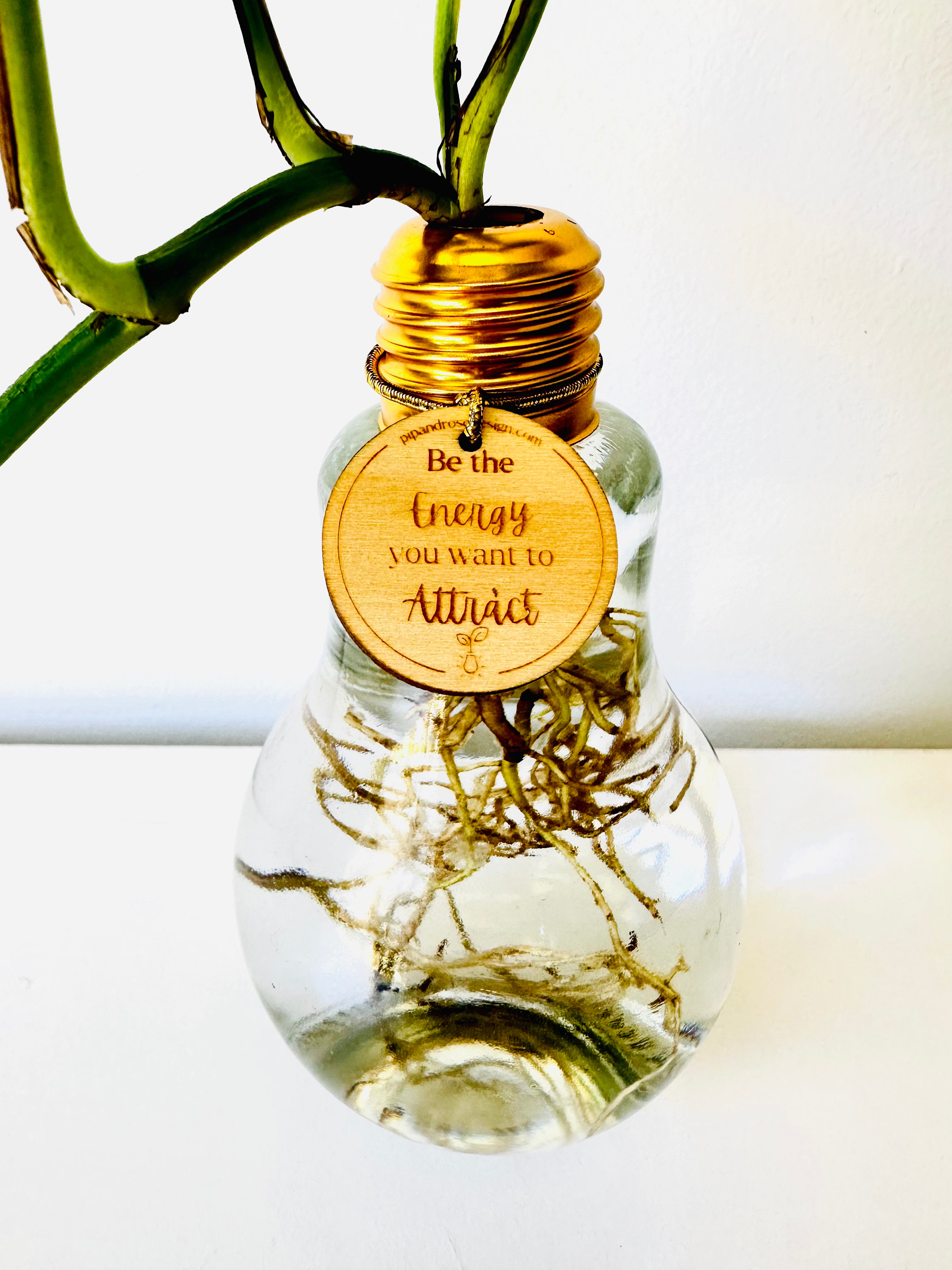 Lightbulb Moments (including Plant)