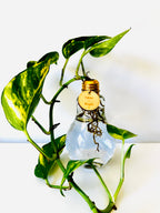 Lightbulb Moments (including Plant)