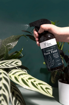 Indoor Plant Food