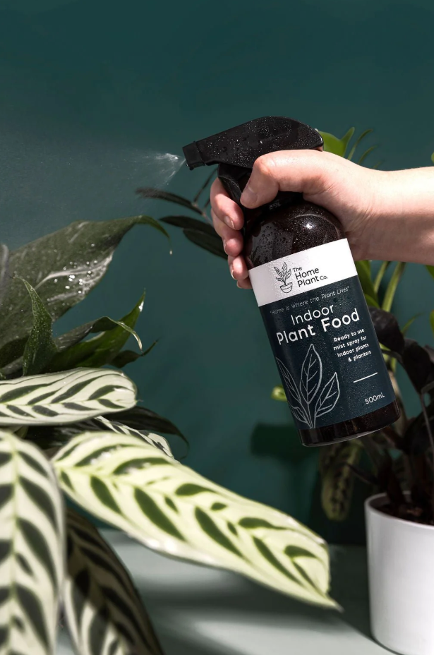 Indoor Plant Food