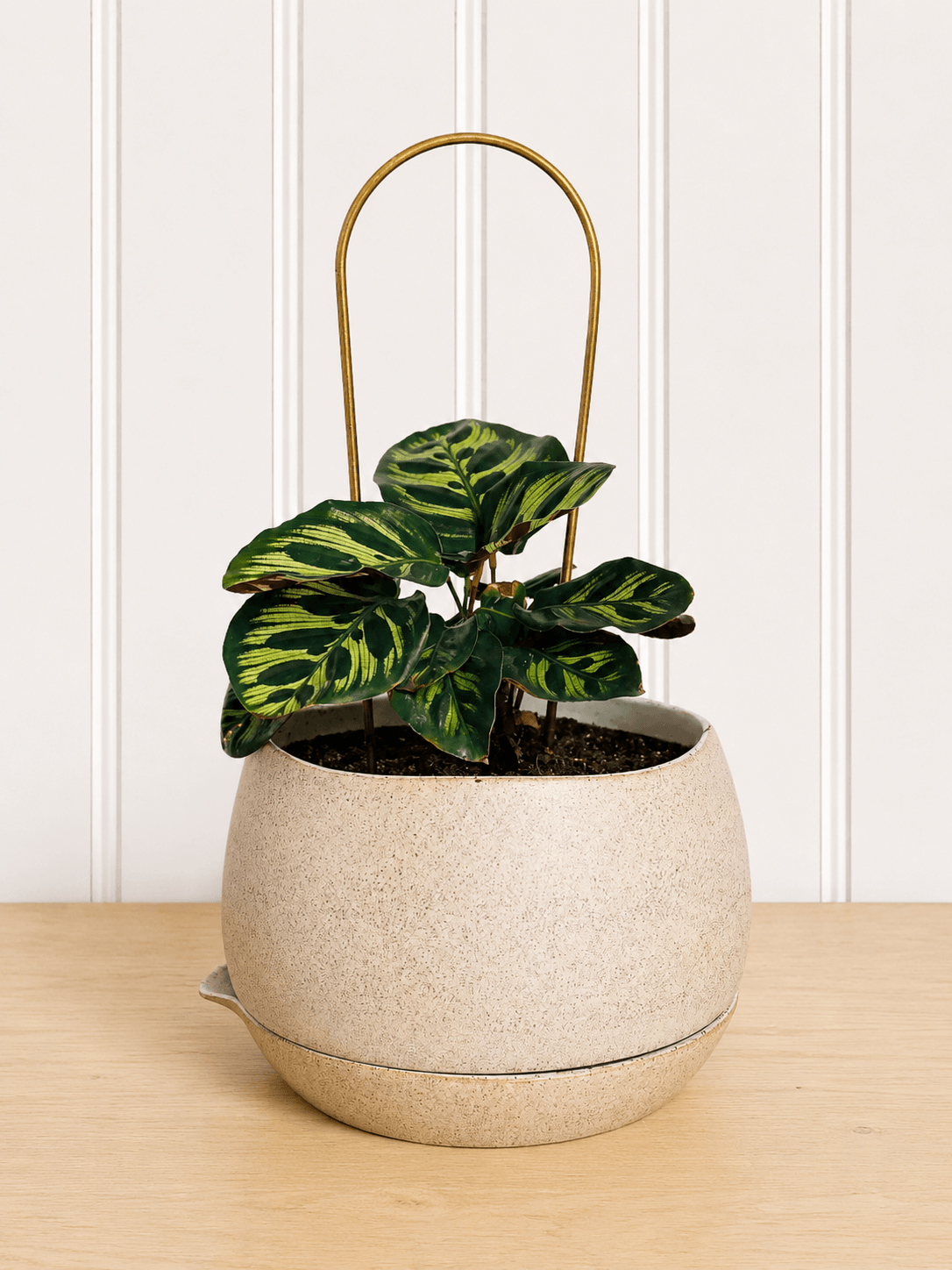 Brass Plant Totems