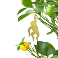 Plant Animal - Chimpanzee