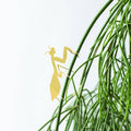 Plant Animal Houseplant Decoration - Praying Mantis